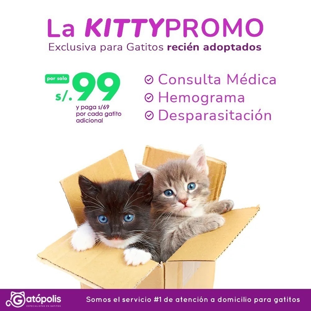 kittypromo