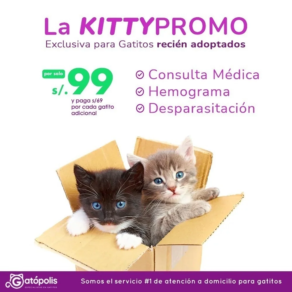 kittypromo