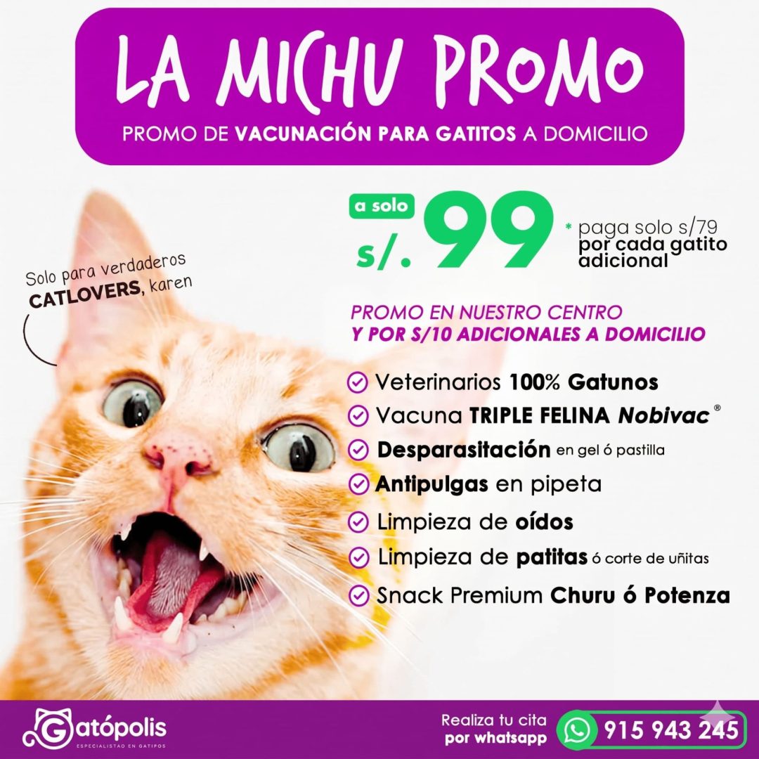 michupromo (1) (1)